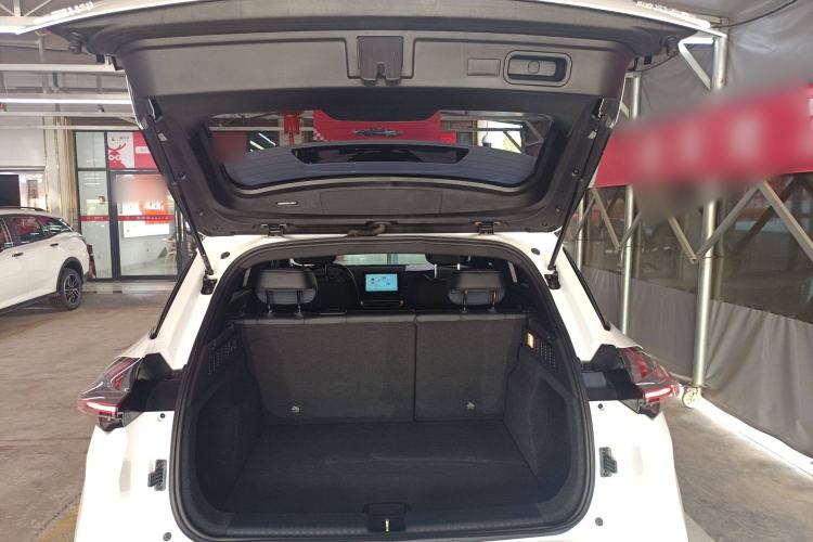 Used NETA X 2024 500 First Edition