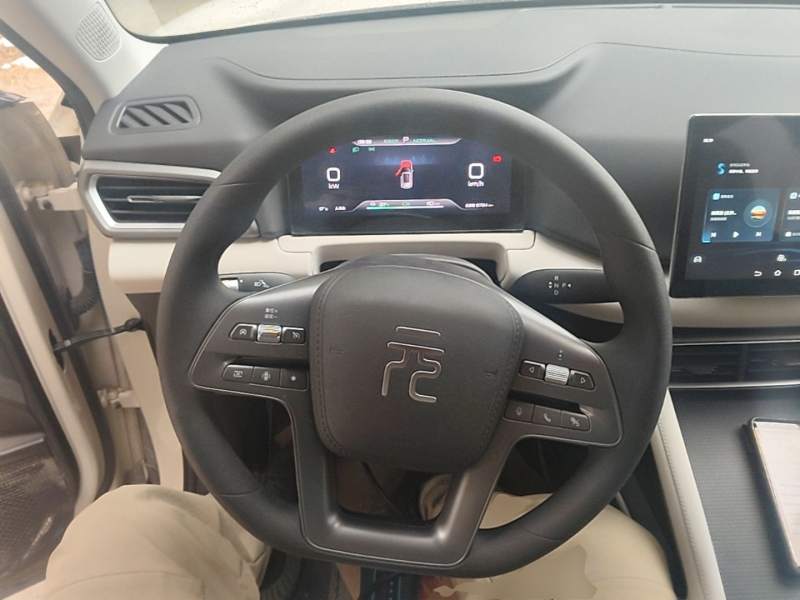 Used BYD Yuan UP 2025 Model 301KM Leading Version — 10