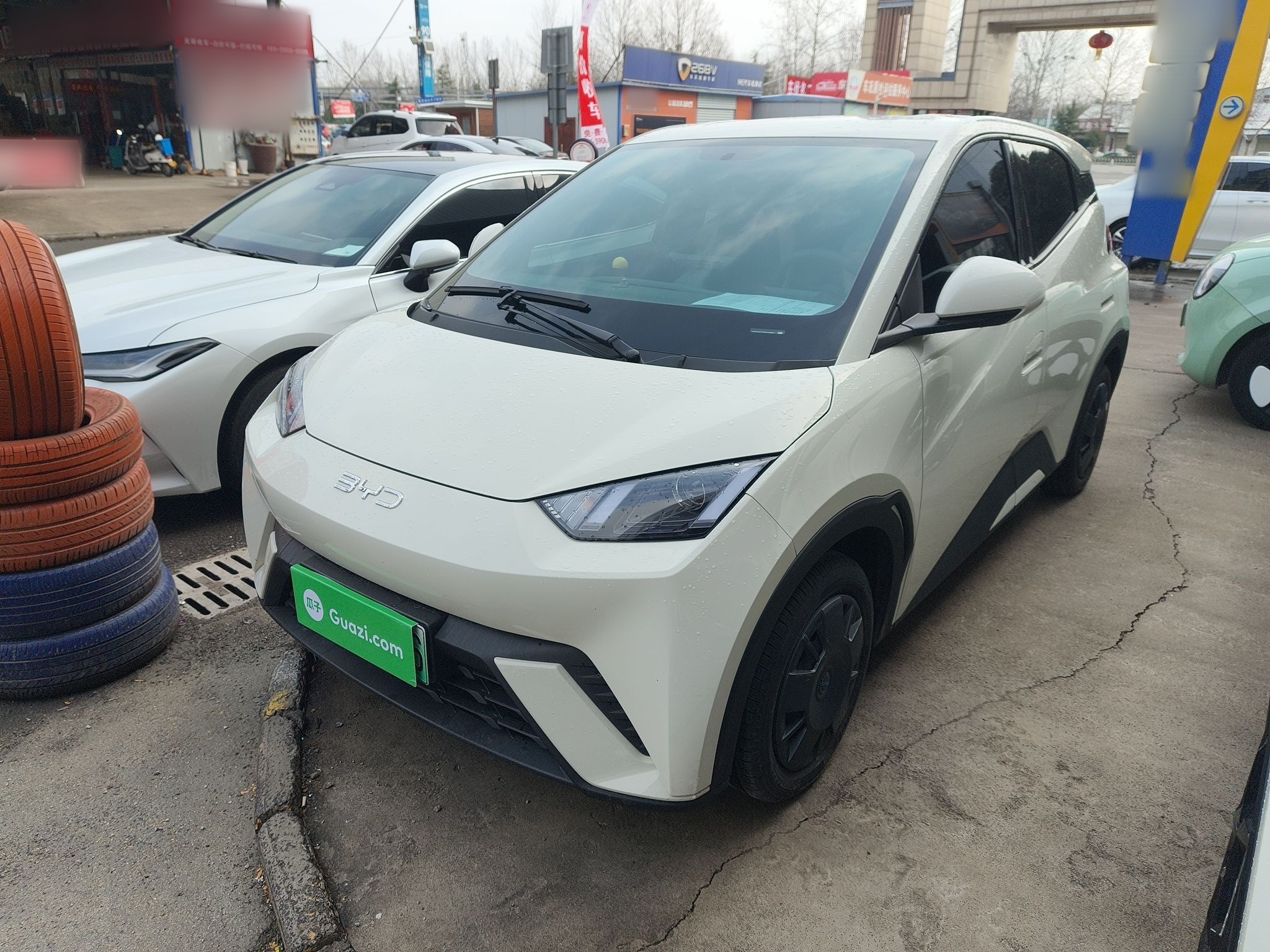 Parte inferior delantera