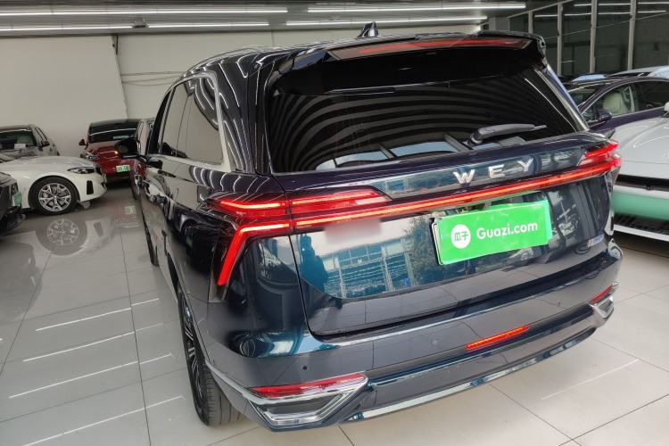 Used Wey Lanshan 2023 Four-Wheel Drive Ultra-Long Range Version