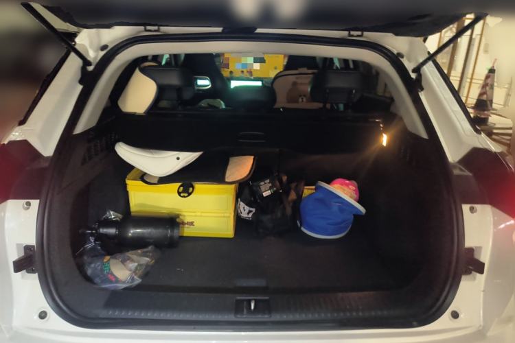 Used NETA U 2021 Pro 400 Cruiser Edition