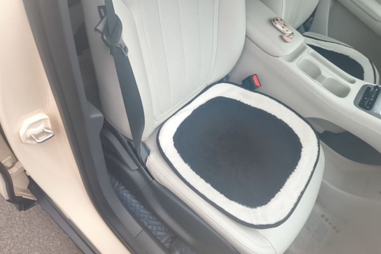 Used Geely Galaxy Geome 2025 310km Youth Edition