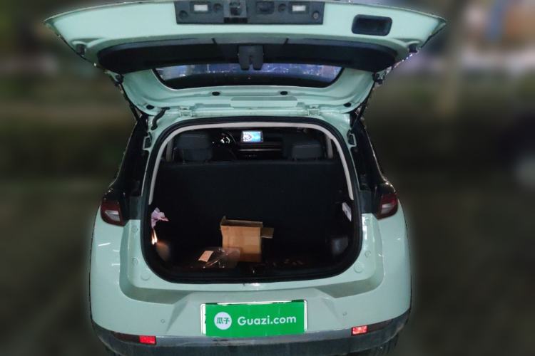 Used Dayun Yuehu 2022 300 Standard Edition
