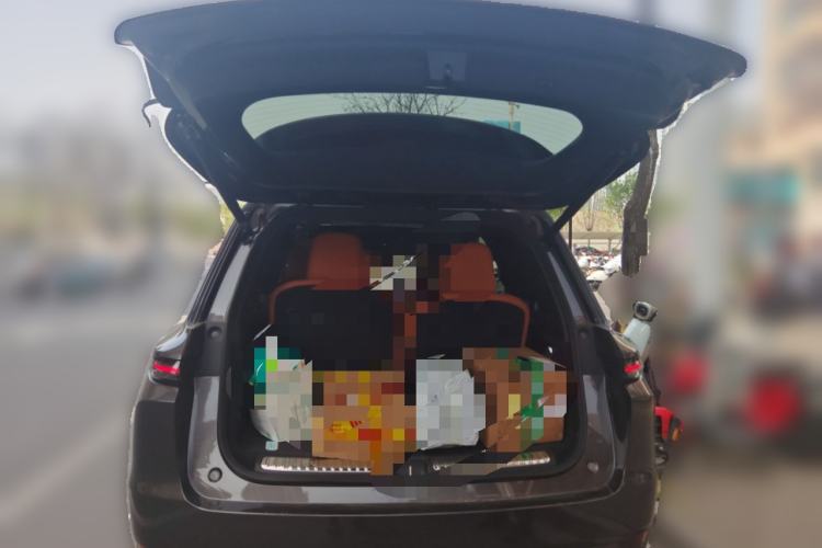 Used Li Auto L9 2023 Pro Model
