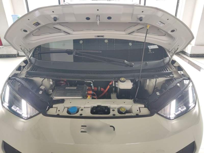 Used BYD Seagull 2025 Smart Drive Version 305 km Freedom Edition — 19