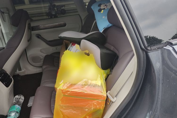 Used Leapmotor C11 2024 Range-Extended 300 Luxury Edition
