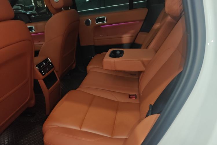 Used Li Auto L6 2024 Pro Model Left Rear Seat