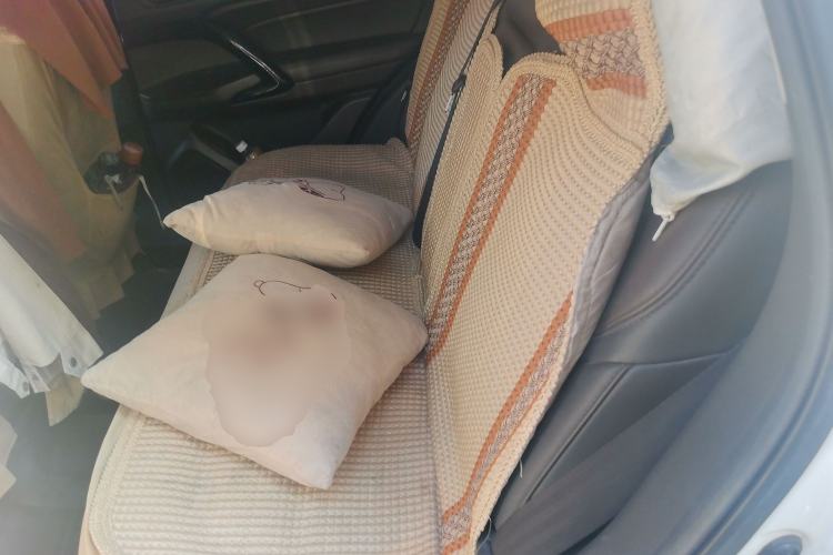 Used GAC Trumpchi GS4 2017 235T Manual Two-Wheel Drive Luxury Edition Left Rear Seat