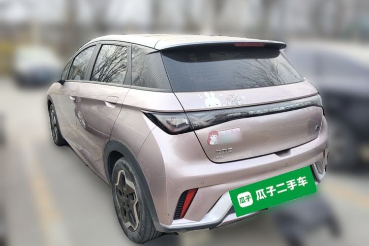 Used BYD Dolphin 2021 405 km Fashion Edition Rear Left 45 Deg