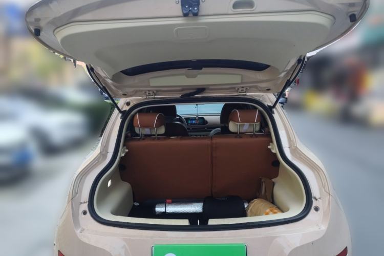 Used ORA Good Cat 2024 401 km Luxury Version