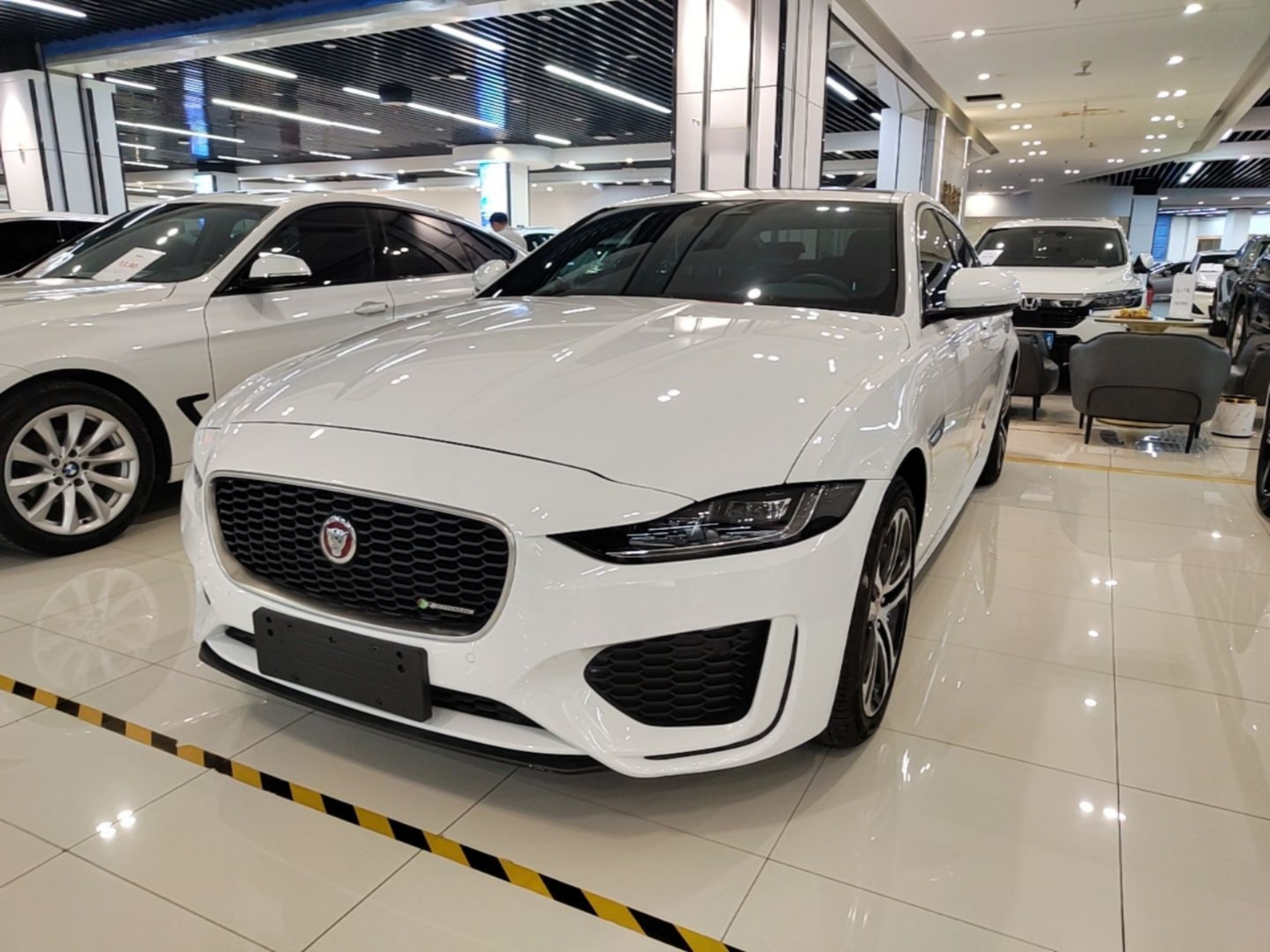 Parte inferior delantera