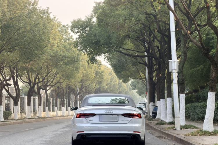 Used Audi A5 2019 Cabriolet 40 TFSI Fashion Edition China V
