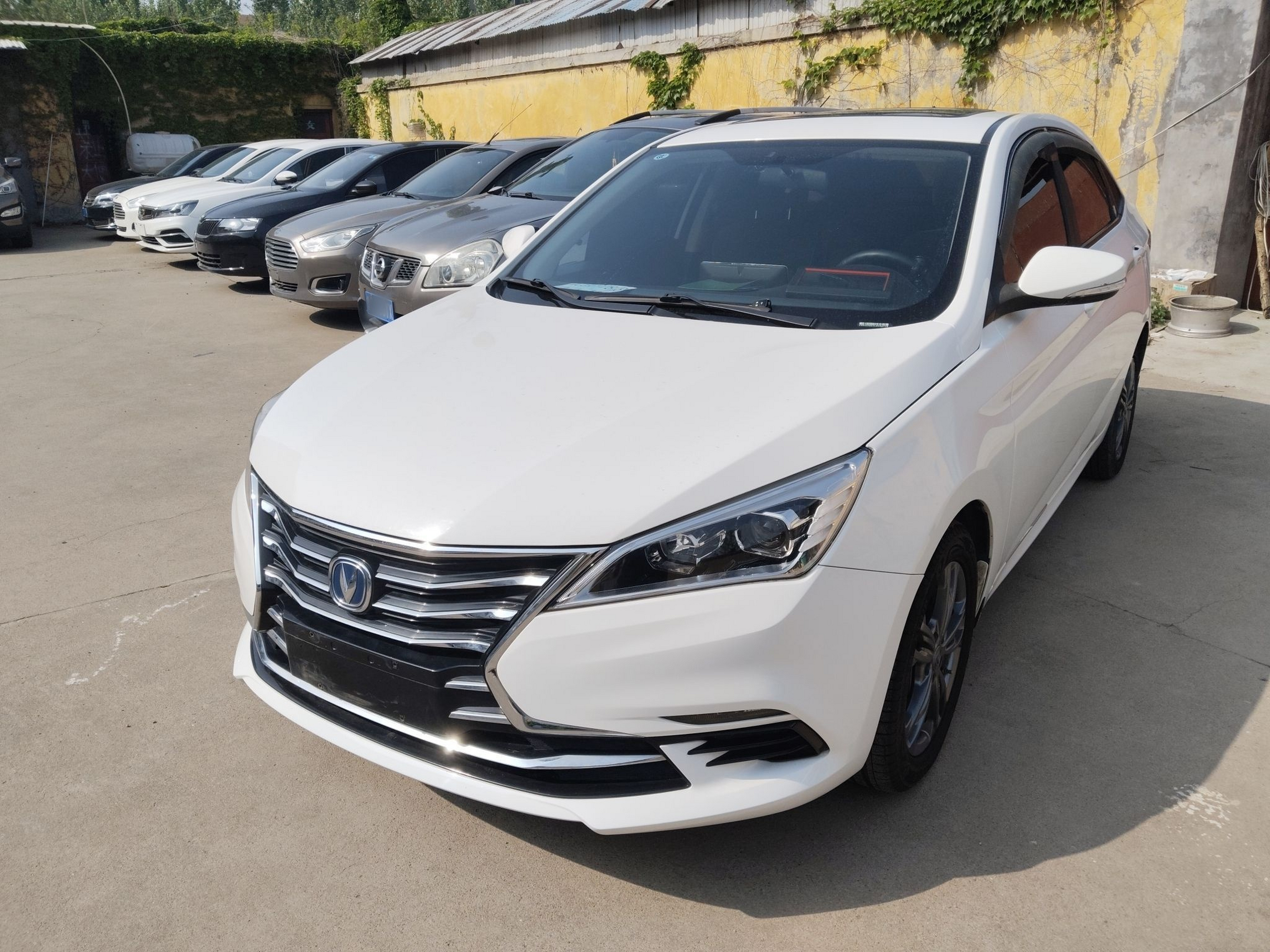 Parte inferior delantera