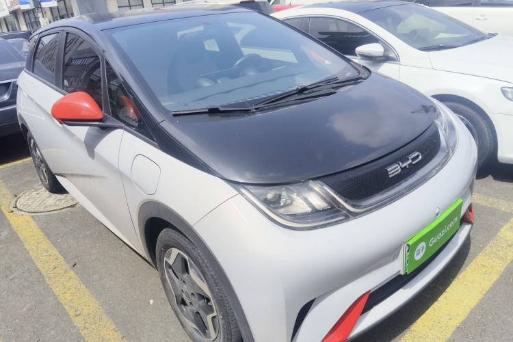 Used BYD Dolphin 2021 405 km Free Version

