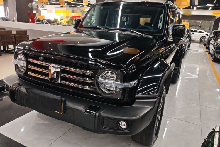 Used Tank 300 2024 2.0T Crosser