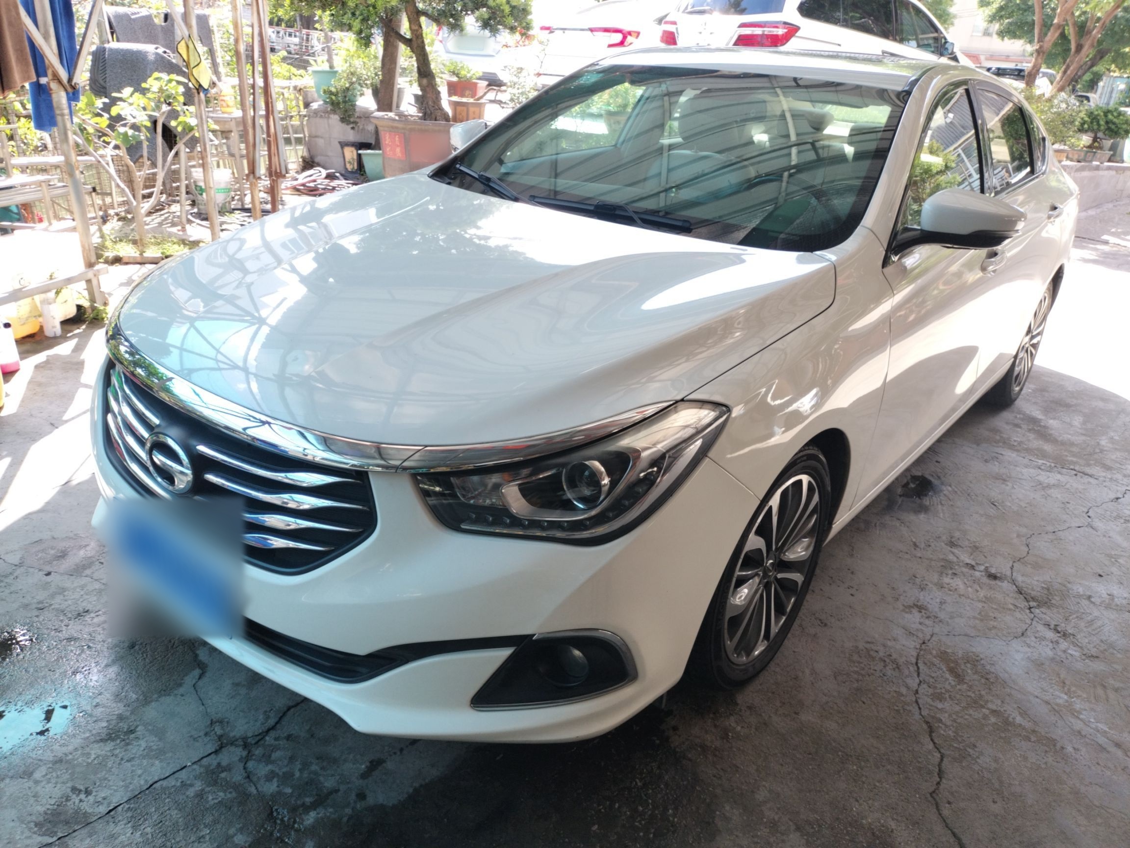 تحت مقدمة السيارة