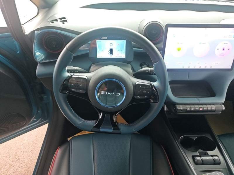 Used BYD Dolphin 2021 405 km Fashion Edition — 10