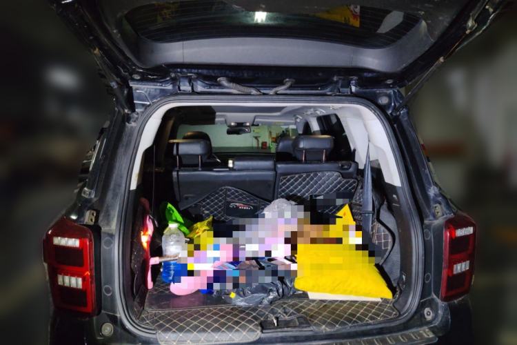 Used GAC Trumpchi GS8 2017 320T Two-Wheel Drive Luxury Smart Connectivity Version (7 Seats) Trunk