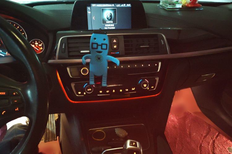 Used BMW 3 Series 2018 318Li
