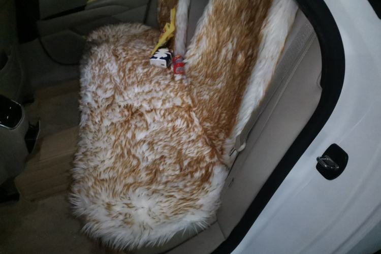 Used Cadillac XTS 2017 28T Elite Model Left Rear Seat