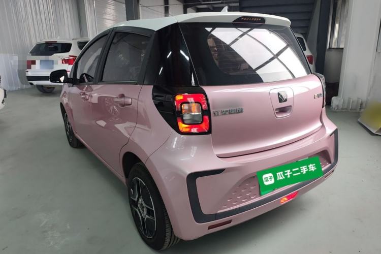 Used SOL E10X 2022 Flower Fairy Design Four-Leaf Clover Rear Left 45 Deg