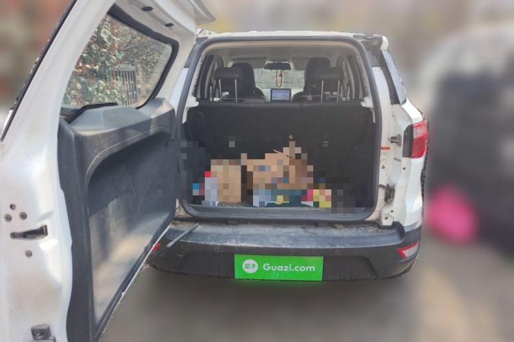 Used Ford EcoSport 2018 1.5L Automatic Platinum Wing Model