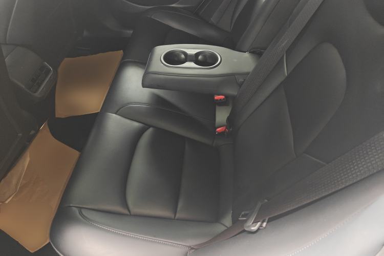 Used Tesla Model 3 2019 Standard Range Rear-Drive Upgraded Version Left Rear Seat