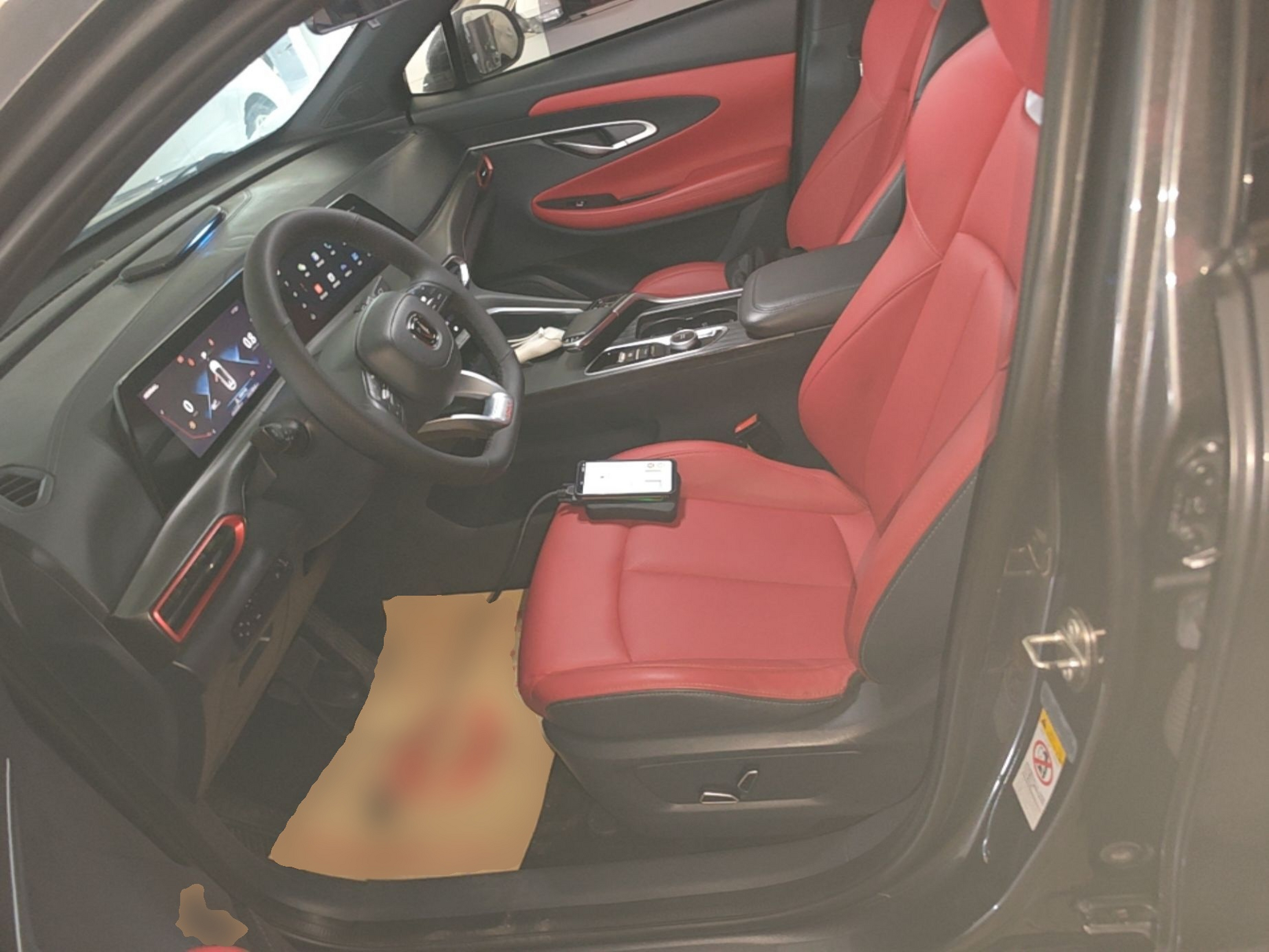 Interior delantero
