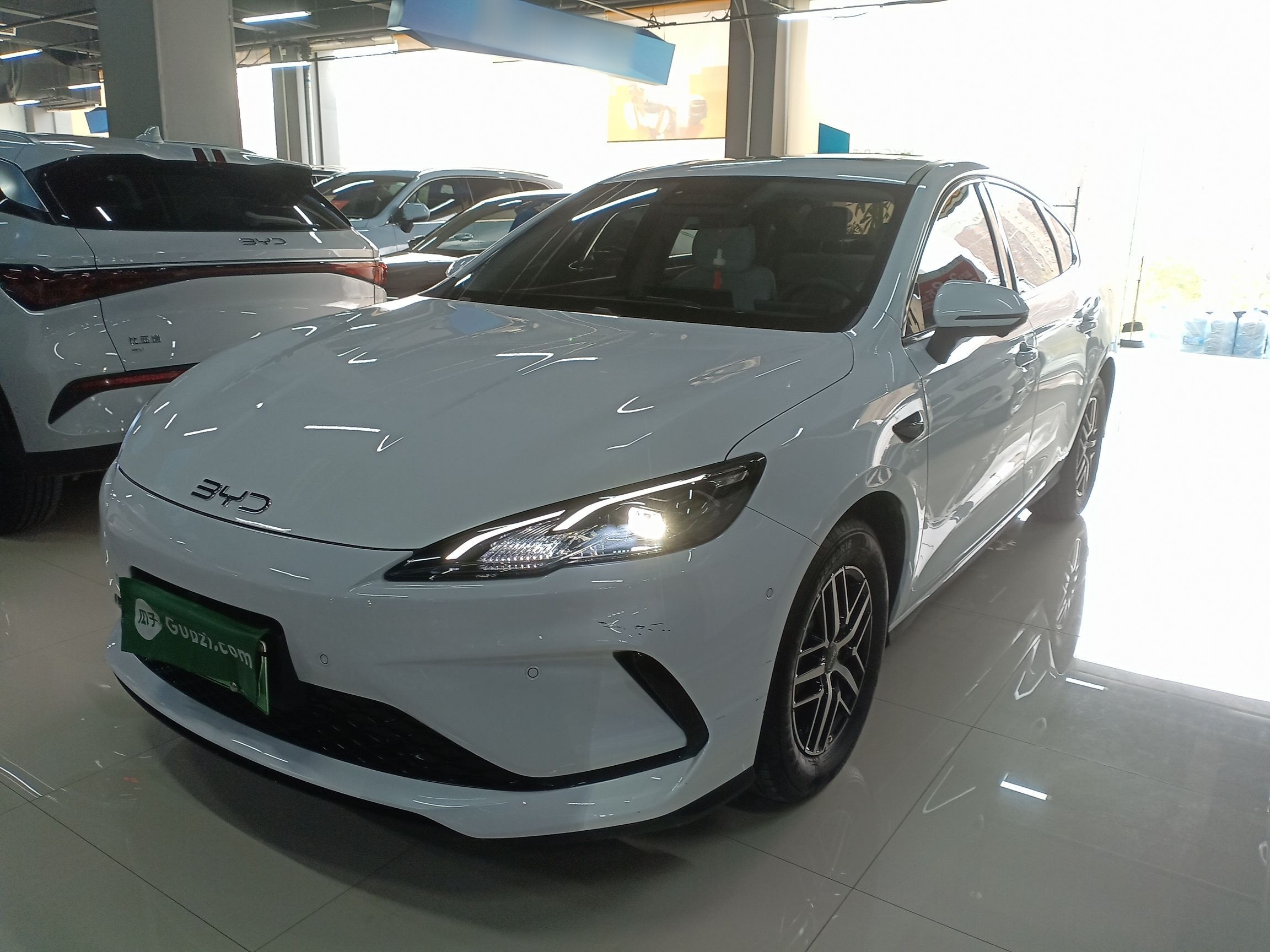 Parte inferior delantera