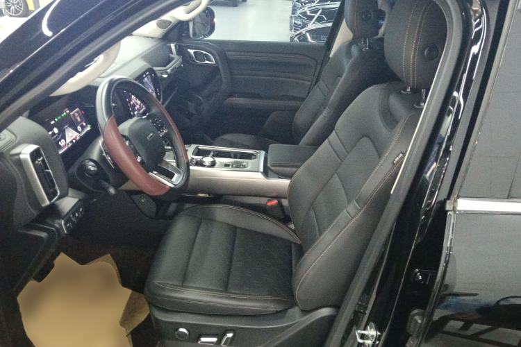 Used Haval DARGO 2024 2.0T DCT Chinese Rural Dog Edition
