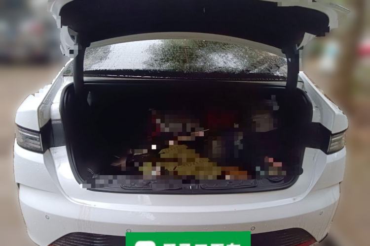 Used BYD Destroyer 05 2024 HONOR Edition DM-i 55KM Luxury Model
