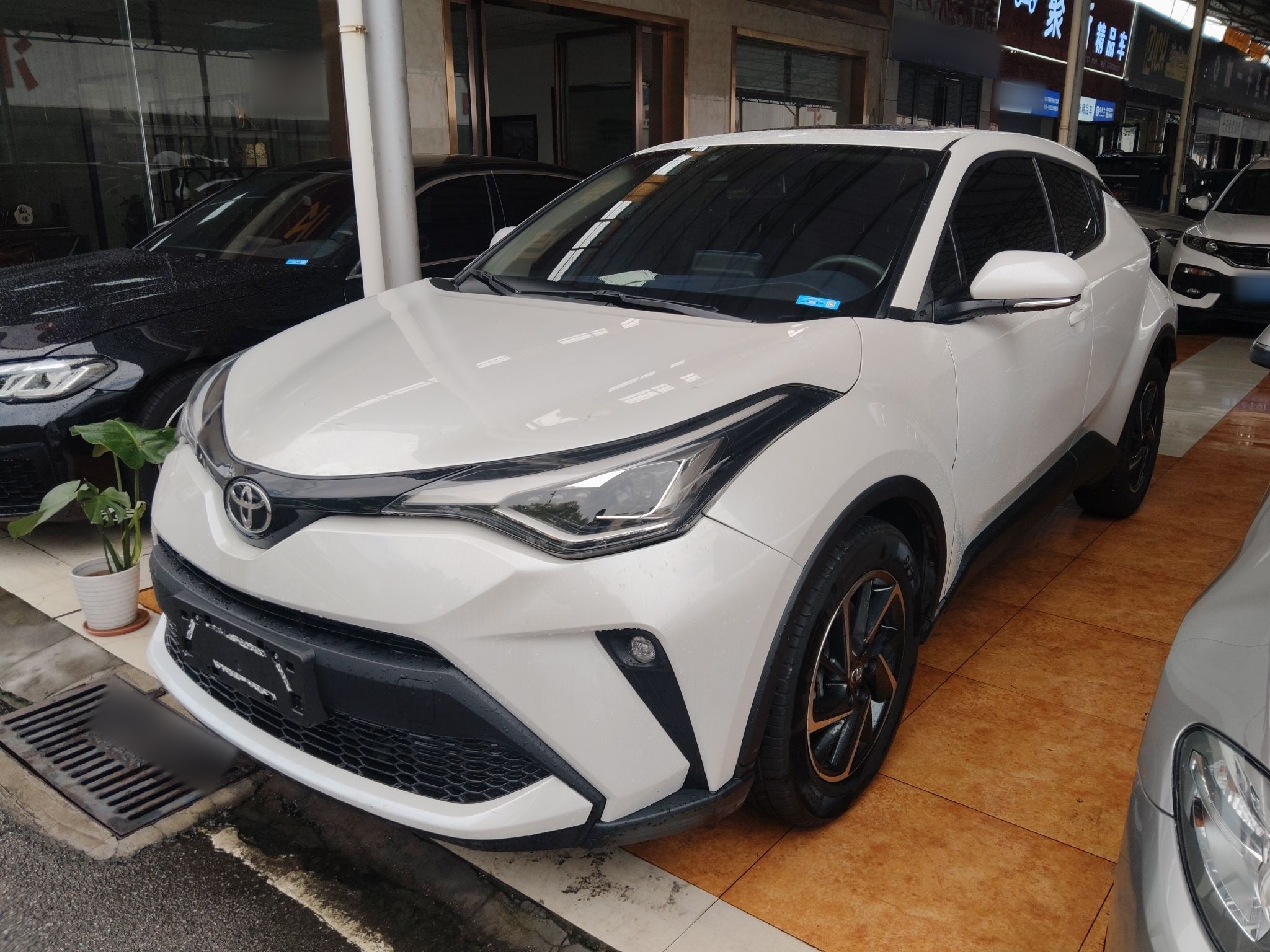 تحت مقدمة السيارة