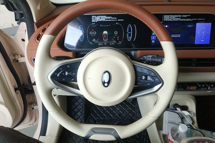 Used ORA Good Cat 2022 Morandi Edition 400km Standard Range Luxury Version Lithium Iron Phosphate Steering Wheel