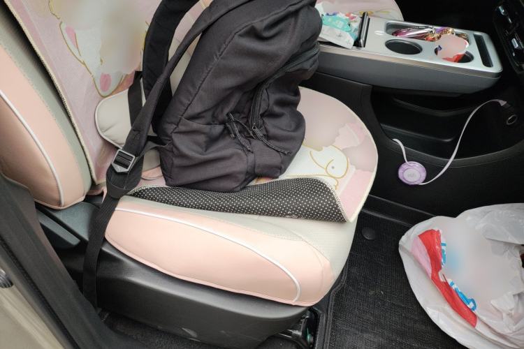 Used AION Y 2024 Plus 510 Intelligent Driving Version Right Front Seat