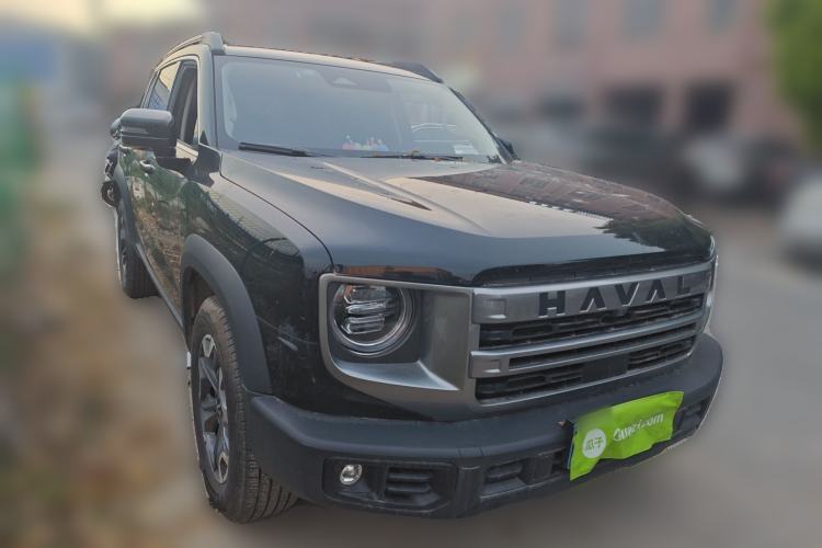 Used Haval DARGO 2024 2.0T DCT Chinese Rural Dog Edition
