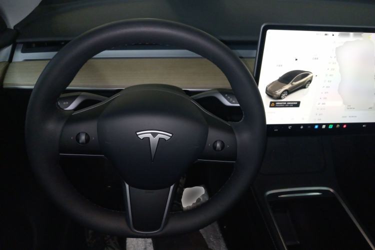 Used Tesla Model Y 2022 Revised Version Long-Range All-Wheel Drive