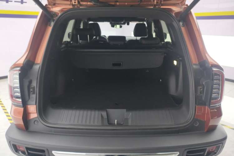 Used Haval DARGO 2021 2.0T DCT 4x4 Chinese Rural Dog Edition