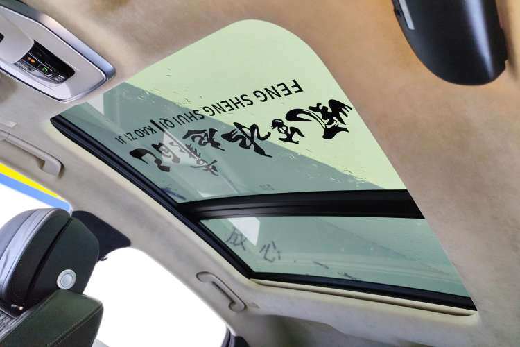 Used Hongqi H9 2020 3.0T Smart Connect Flagship Four-Seat Version
