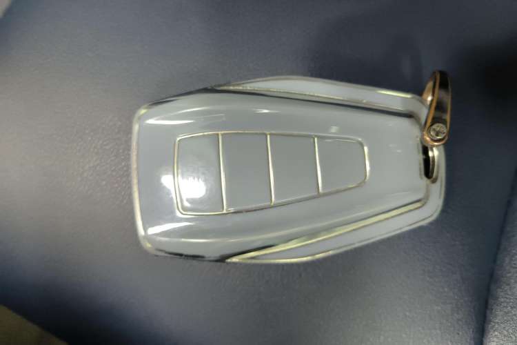 Used Geometry E Firefly 2023 401KM Lightning Tiger 5-Seater