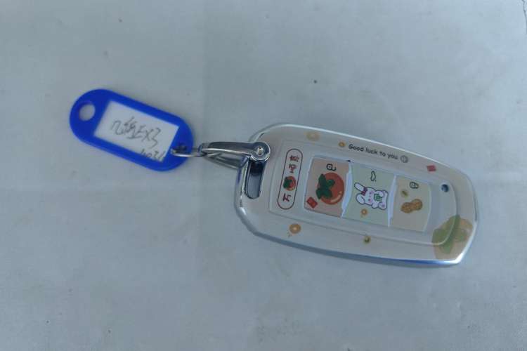 Used Geometry EX3 Kung Fu Cow 2021 Kungfu NiuNiu
