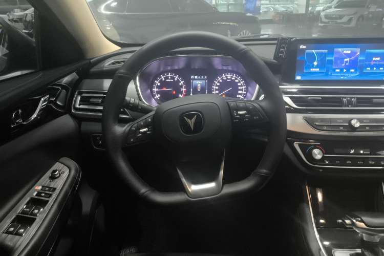 Used Changan Ruicheng CC 2021 Blue Whale Edition 1.5T DCT Luxury Model