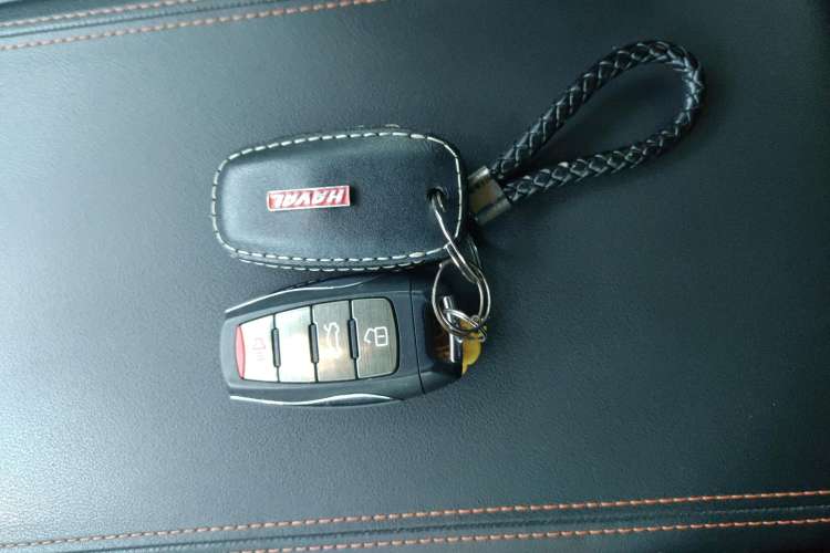 Used Haval DARGO 2021 2.0T DCT 4x4 Chinese Rural Dog Edition
