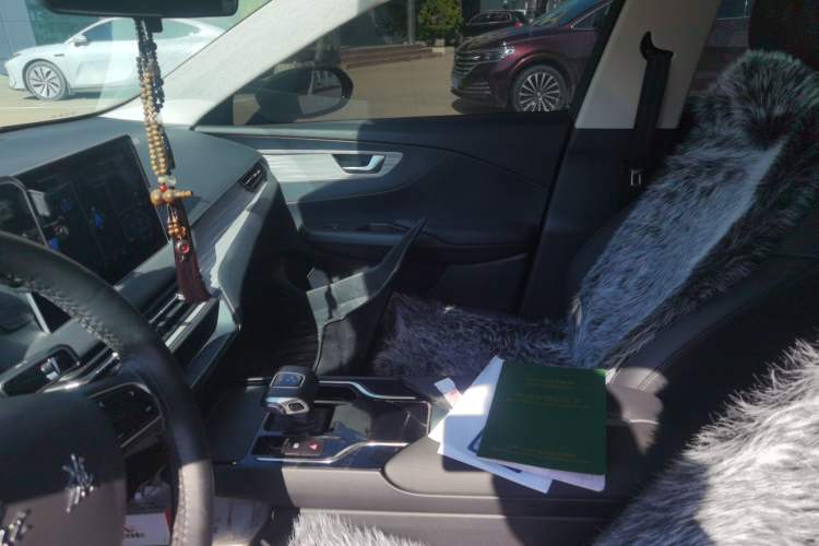 Used Hongqi E-QM5 2023 560km PLUS Interior 2