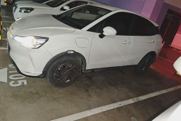 Used NETA V 2021 Standard Range Upgrade Model
