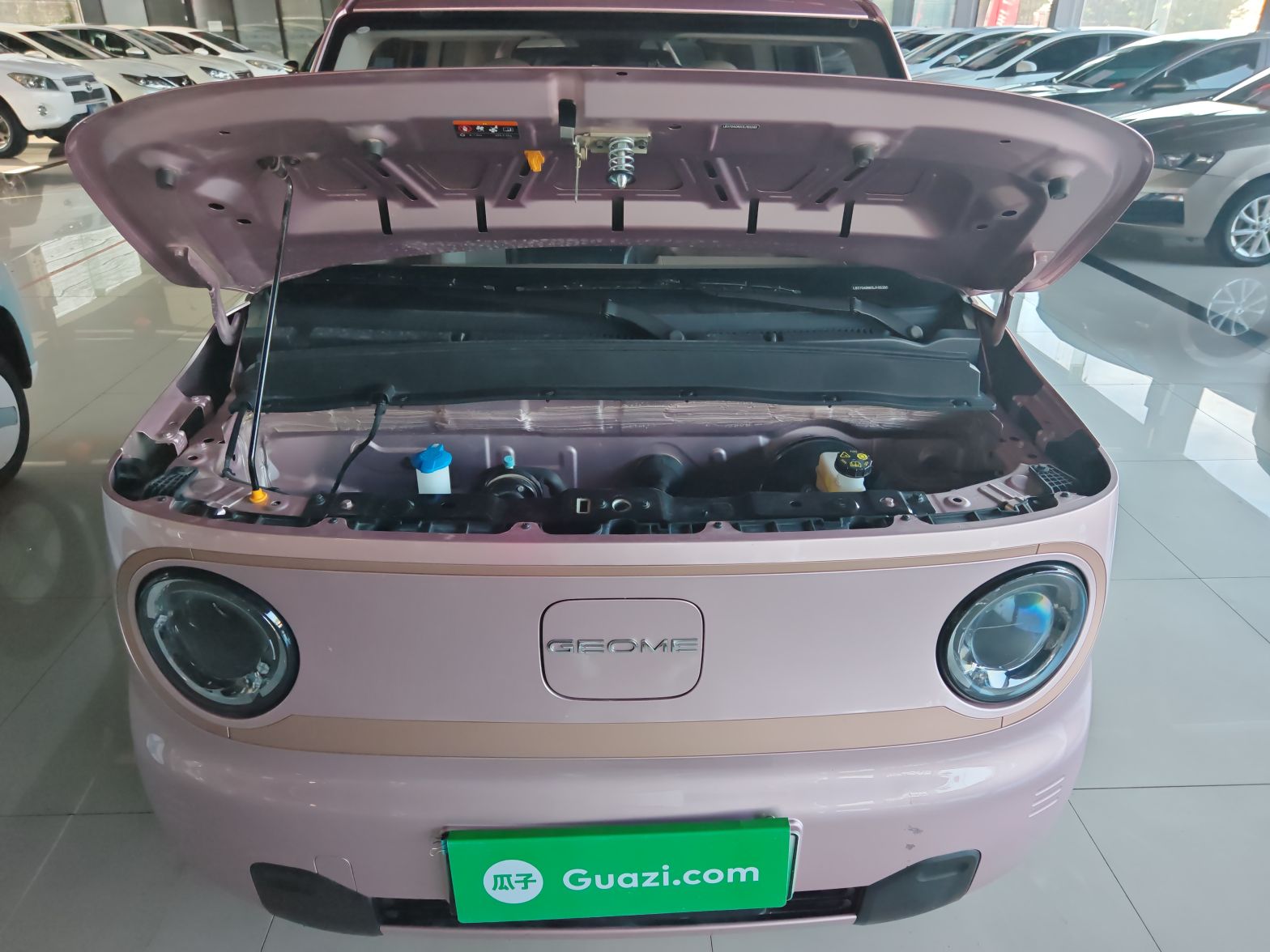 Geely Galaxy Panda 2024 Panda Mini 200km Endurance Bear — снимка 15