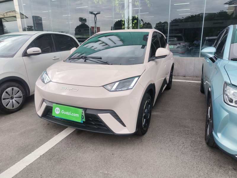 Used BYD Seagull 2023 Free Edition — 1