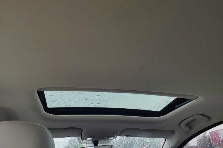 Used Livan Maple 30X 2020 Style Edition
