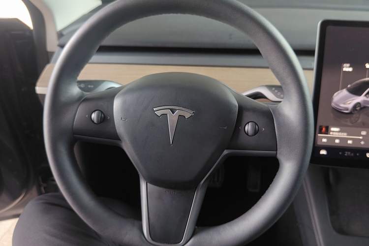 Used Tesla Model 3 2022 Rear-Wheel-Drive Version