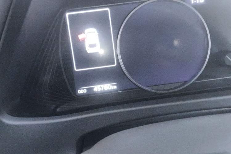 Used Lexus UX New Energy 2020 300e Pure·Joy Edition