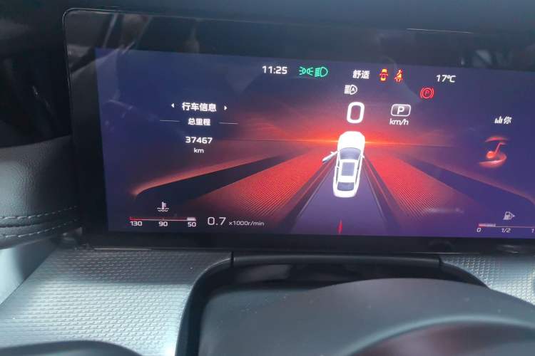 Used Hongqi H5 2024 2.0T Automatic Smart Connect Flagship Edition Odometer Close Up